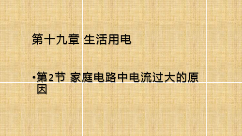 家庭电路中电流过大的原因     物理九年级全一册