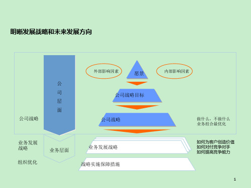 战略发展方向和发展路径