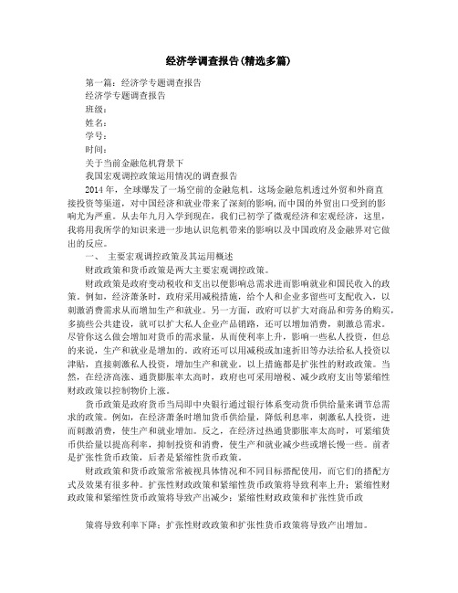 经济学调查报告(精选多篇)