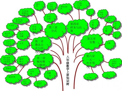 青岛版八年级上册知识树