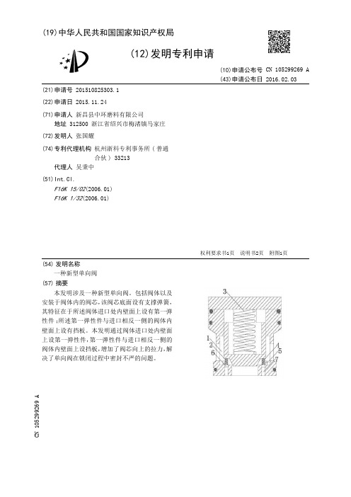 一种新型单向阀[发明专利]