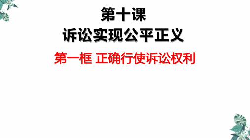 【高中政治】统编版选择性必修二PPT法律与生活正确行使诉讼权利课件PPT