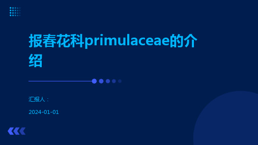 报春花科primulaceae的介绍