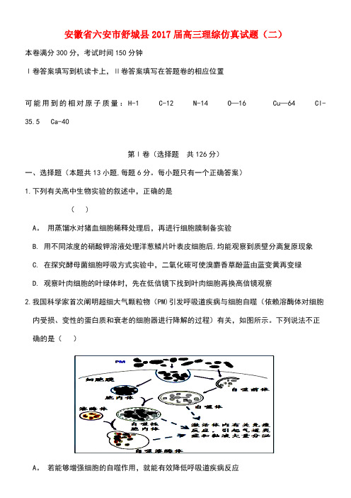 安徽省六安市舒城县高三理综仿真试题(二)