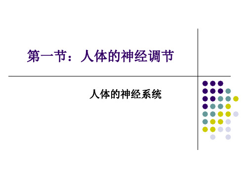 初中生物苏科版八年级上册第1节 人体的神经调节