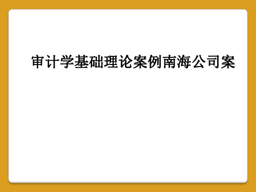 审计学基础理论案例南海公司案