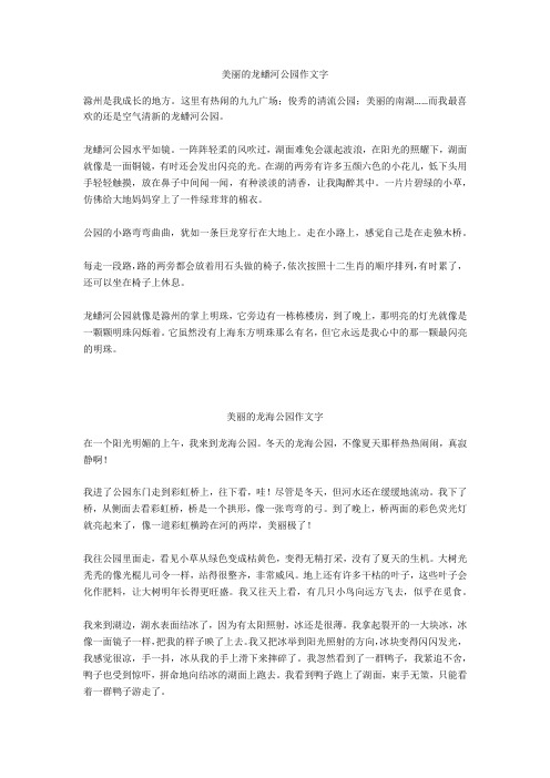 美丽的龙海公园作文550字