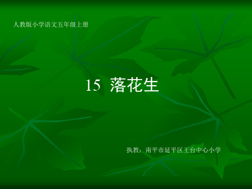 部编五年级上人教《15 落花生》卢妍玉PPT课件 一等奖新名师优质课获奖比赛公开免费下载