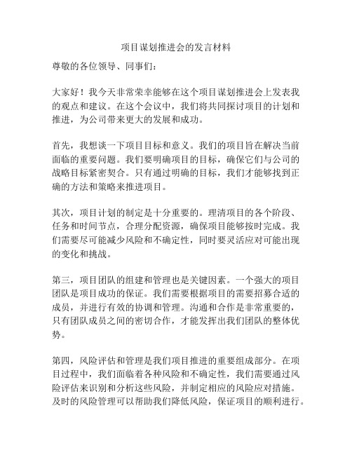 项目谋划推进会的发言材料