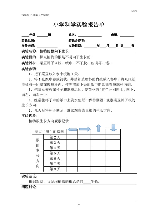 湘教版小学科学六年级上册科学实验报告单