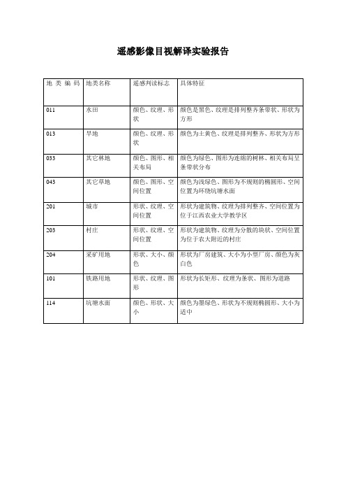 遥感影像目视解译实验报告
