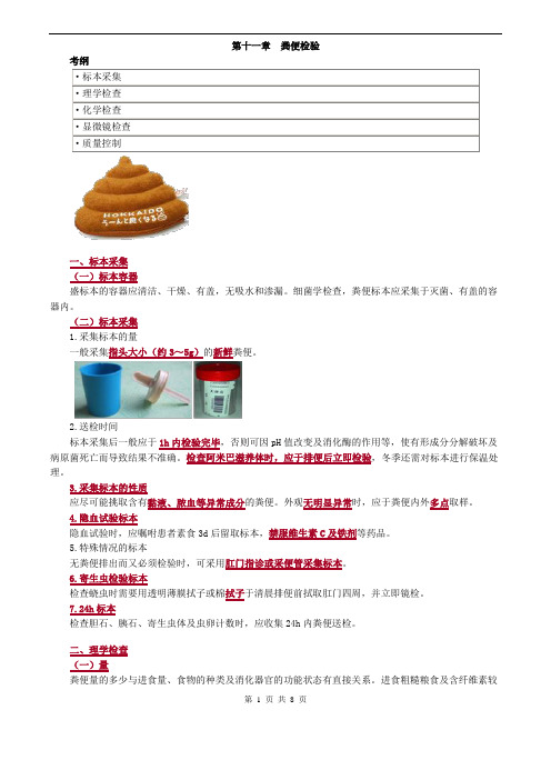 临床检验技师考试_临床检验基础讲义_第十一章粪便检验