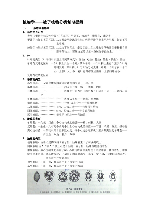 植物学提纲