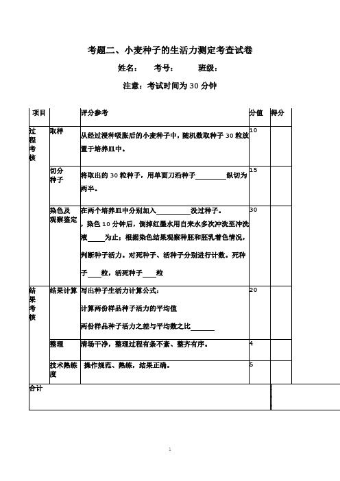 小麦种子生活力测定