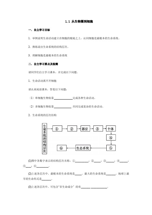 高中生物从生物圈到细胞学案