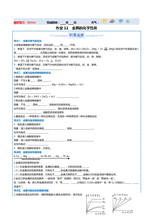 寒假作业11 金属的化学性质  (原卷版)