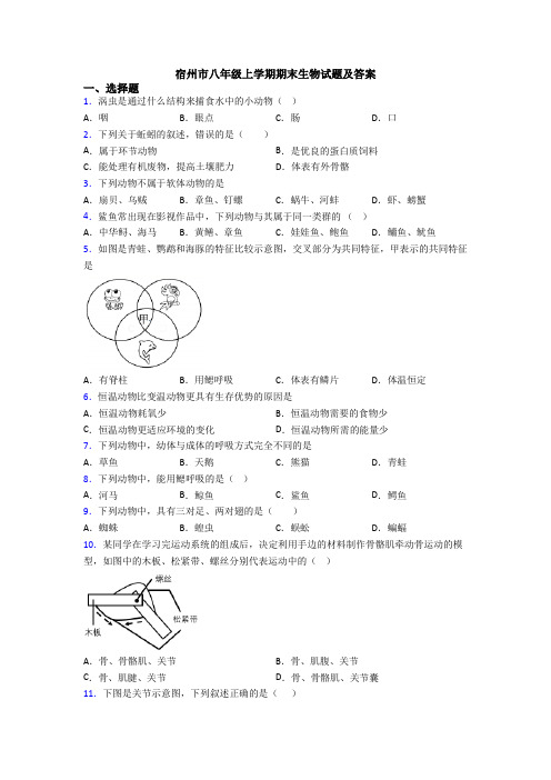 宿州市八年级上学期期末生物试题及答案