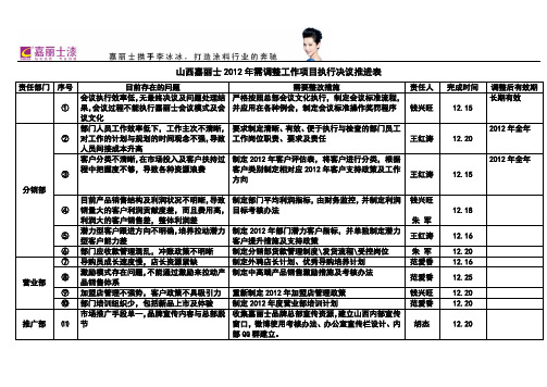 2012整改措施推行决议