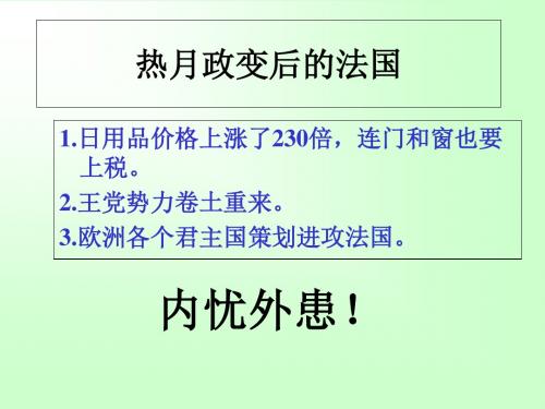 拿破仑的文韬武略PPT课件4 北师大版