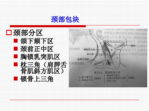 颈部包块检查