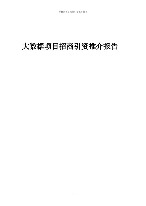 2023年大数据项目招商引资推介报告