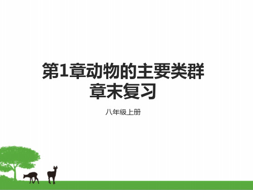 部编人教版八年级上册生物第1章动物的主要类群 复习课件