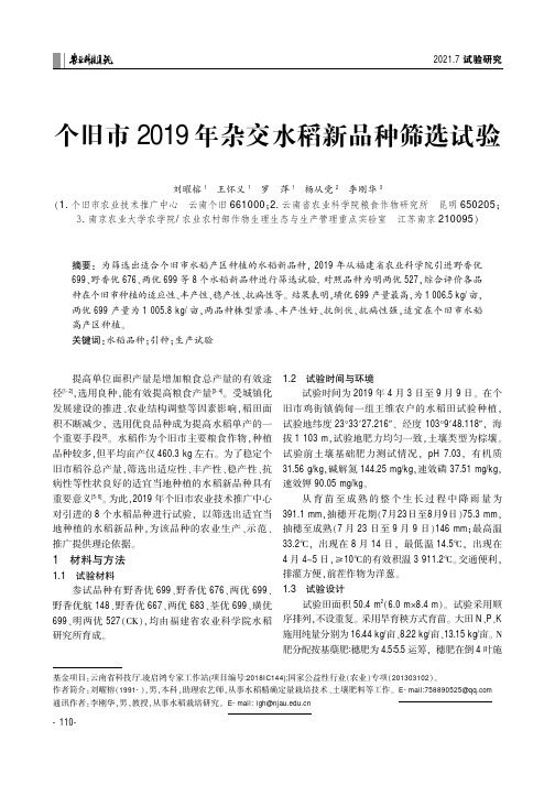 个旧市2019年杂交水稻新品种筛选试验