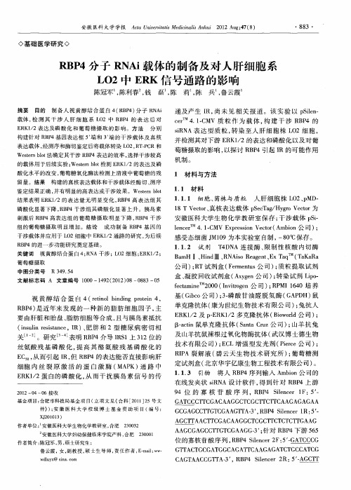 RBP4分子RNAi载体的制备及对人肝细胞系LO2中ERK信号通路的影响