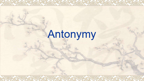 Antonymy_课件