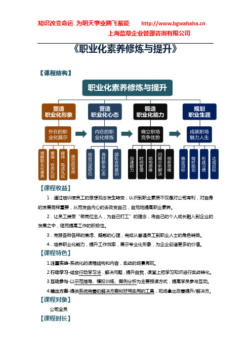 《职业化素养修炼与提升》