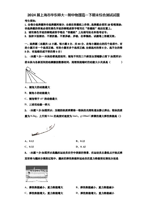 2024届上海市华东师大一附中物理高一下期末综合测试试题含解析