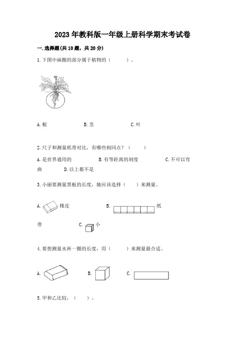 2023年教科版一年级上册科学期末考试卷及答案(全国通用)