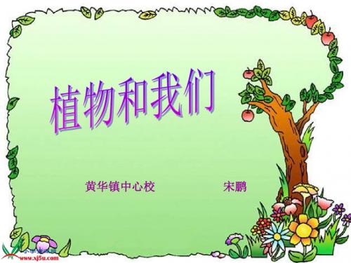 苏教版小学科学三年级下册《植物和我们》课件