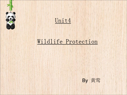 人教版高中英语 必修二 Unit4 《Wildlife protection ---Reading(