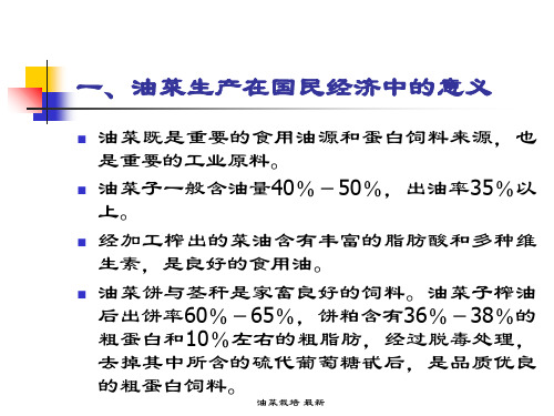 油菜栽培最新课件