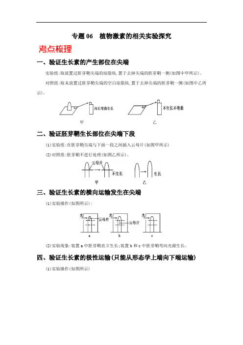 高中生物高考专题06 植物激素的相关实验探究-备战2021年高考生物核心考点透析(解析版)