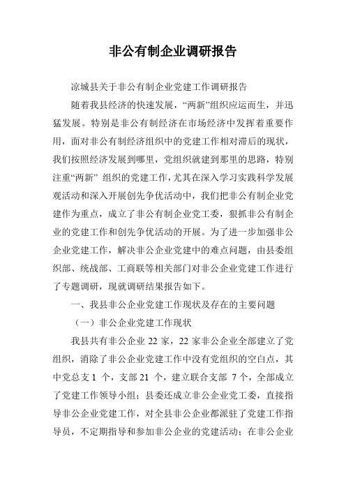 非公有制企业调研报告