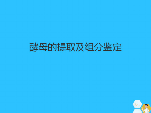 酵母的提取及组分鉴定常用文档