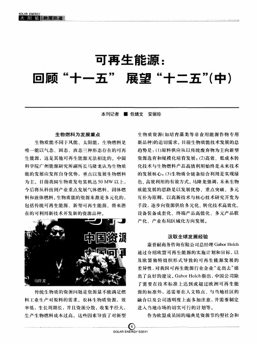 可再生能源：回顾“十一五”展望“十二五”(中)