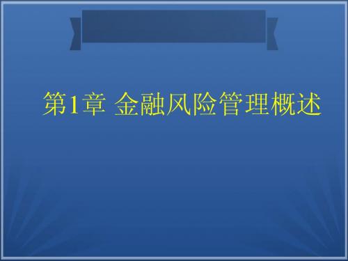 第一章金融风险管理概述