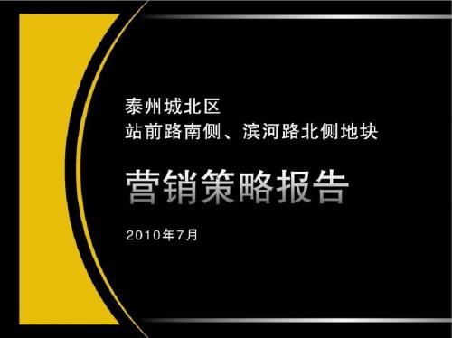 2019泰州城北区站前路南侧、滨河路北城地块营销策略报告80p 81页PPT文档