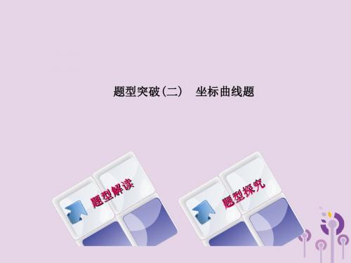 湖南省2018年中考化学复习题型突破(二)坐标曲线题课件