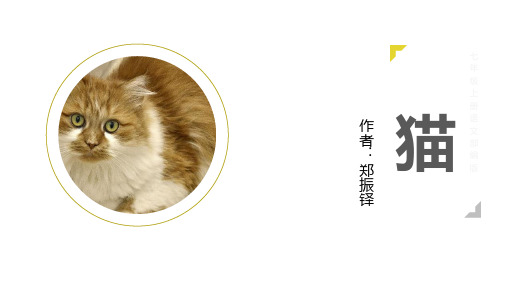 部编版七年级语文上册第16课《猫》课件(16)