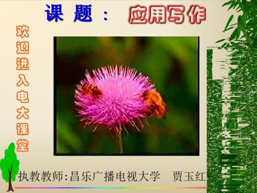 应用写作汇总