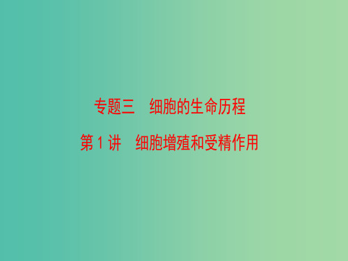 高考生物二轮复习 第1部分 专题3 第1讲 细胞增殖和受精作用