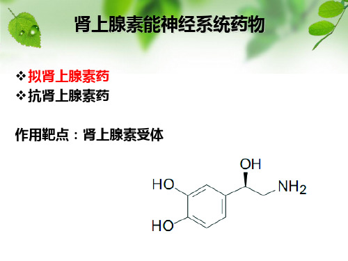 第三节肾上腺素受体激动剂PPT课件