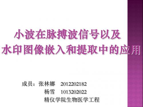 小波在脉搏波信号以及水印图像嵌入和提取中的应用