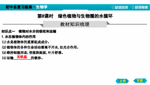 中考生物绿色植物与生物圈的水循环