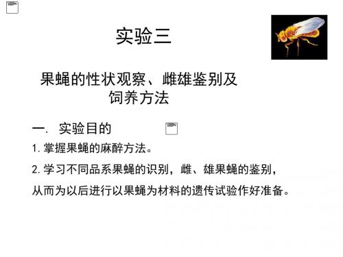 实验三果蝇的性状观察、雌雄鉴别及饲养方法-精选文档