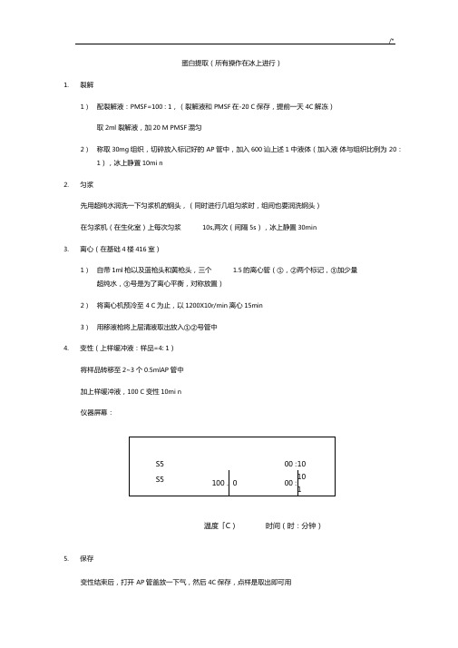 WB试验步骤详细情况总结